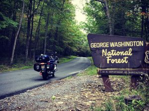 The RT in GW National Forest