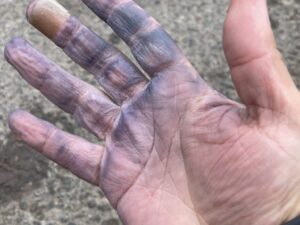 So much rain that my glove dye bled through. 6-10-24