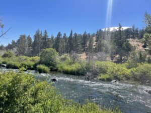 Checking out the Deschutes River in Redmond, Oregon 6-13-24