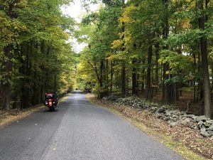 Leaves starting to change in Western NJ - September 2020