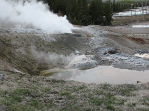 More steam vents