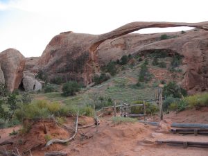 Another interesting arch….